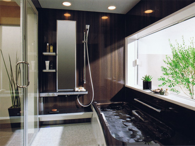 ���j�b�g�o�X�C���[�W - �M�z�X�y�[�X�V�X�e���������